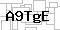 CAPCHA Code